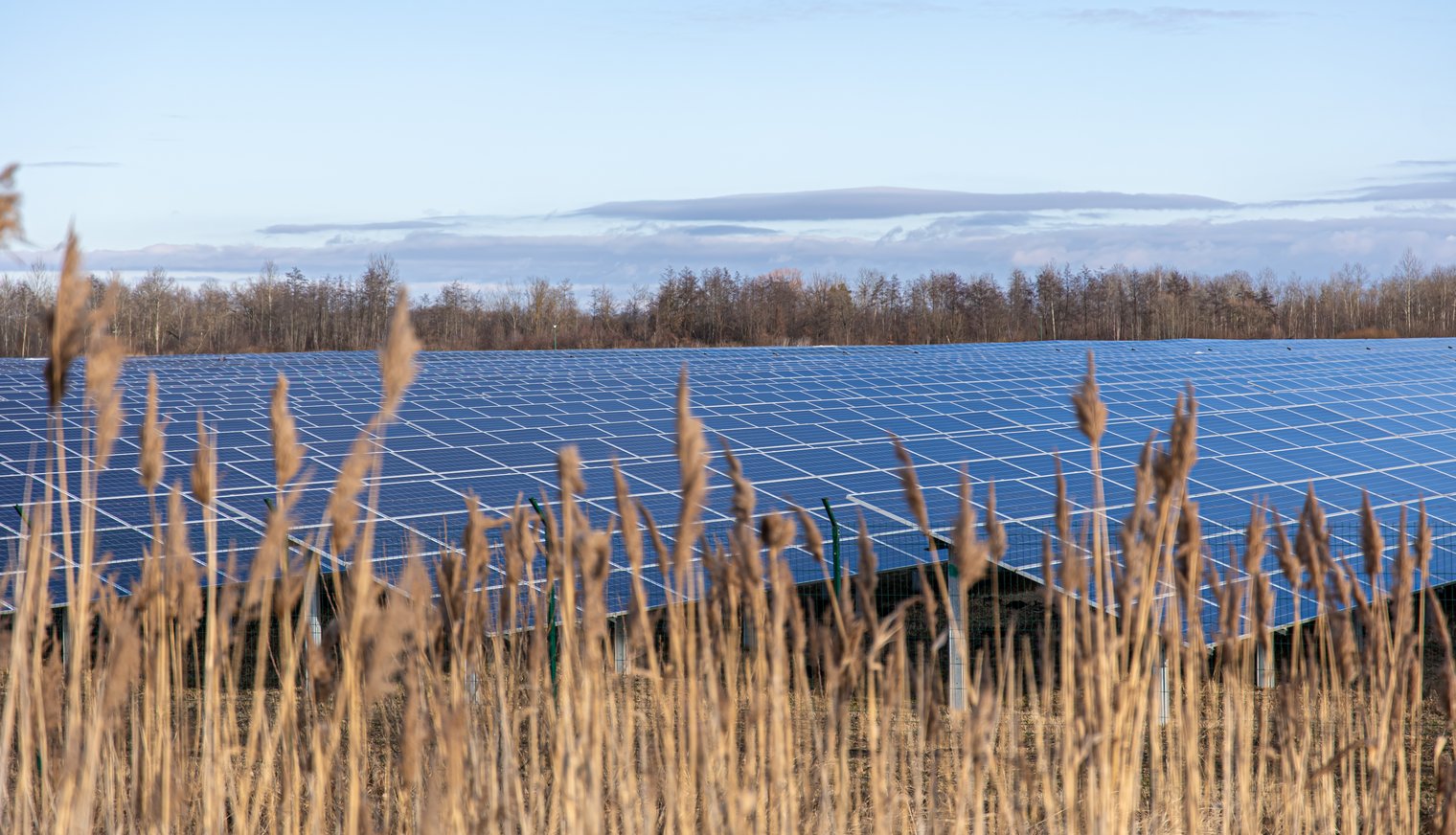 PV-Freiflächenanlage, Paneele in Wiese